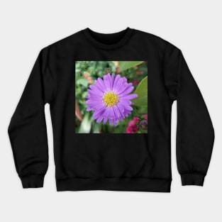 Purple Aster Crewneck Sweatshirt